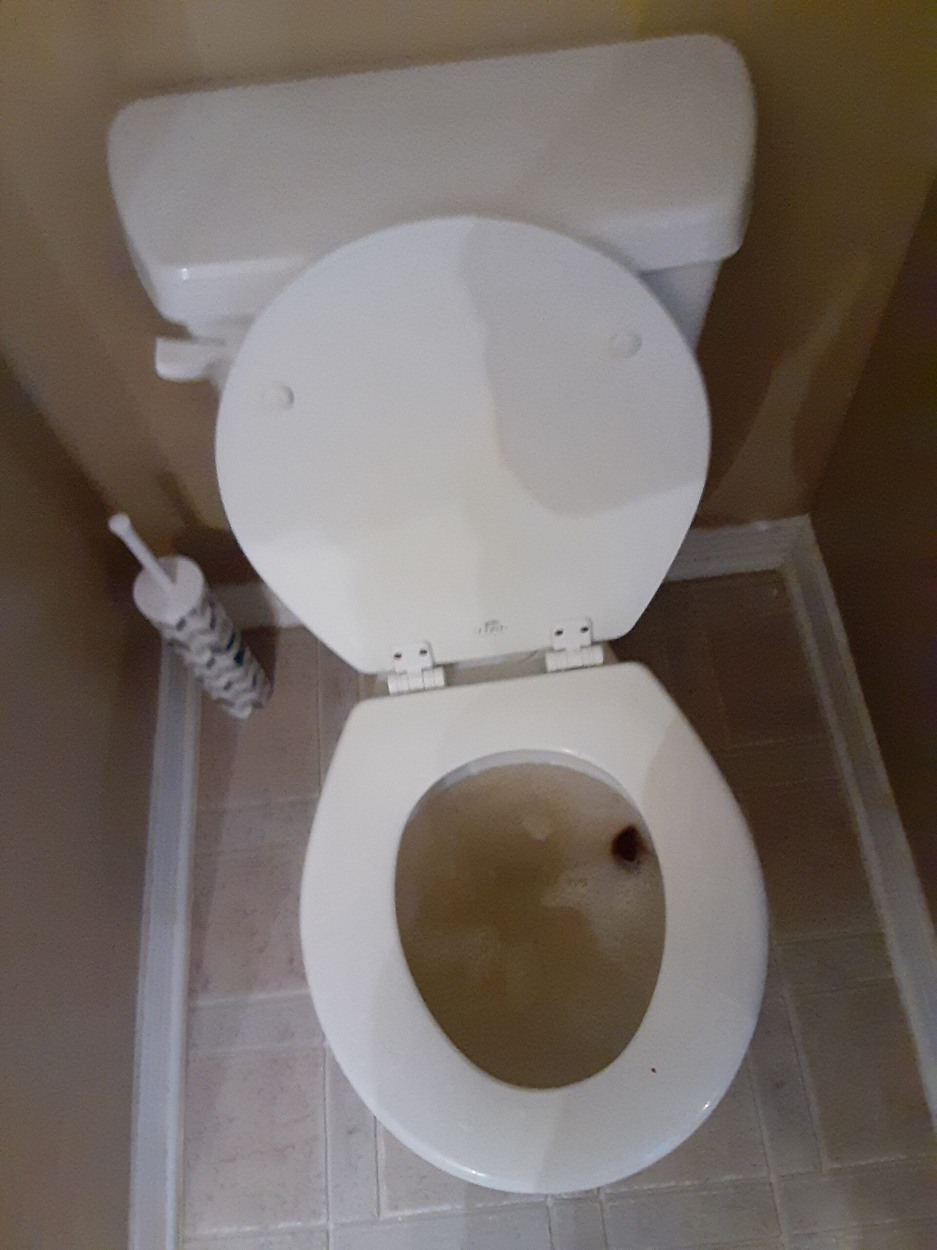 Emergency Rooter plumbing work in New Orleans — 2020-05-16
