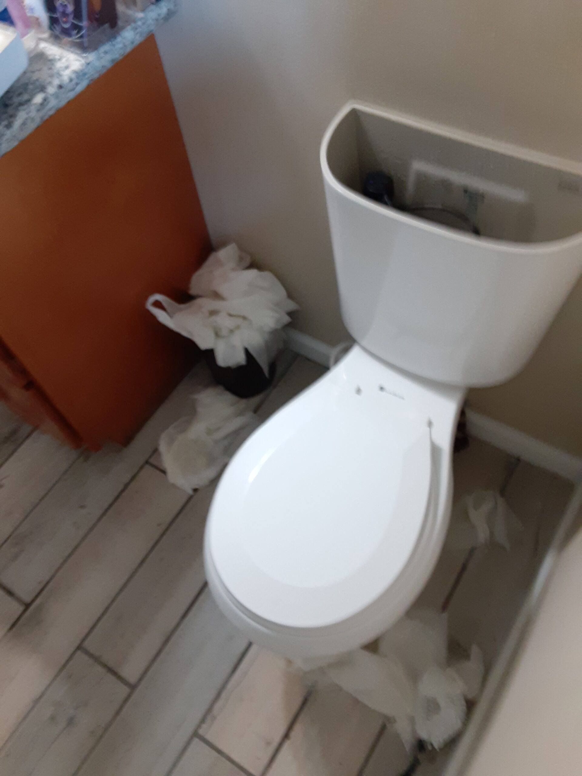 Emergency Rooter plumbing work in New Orleans — 2020-06-05