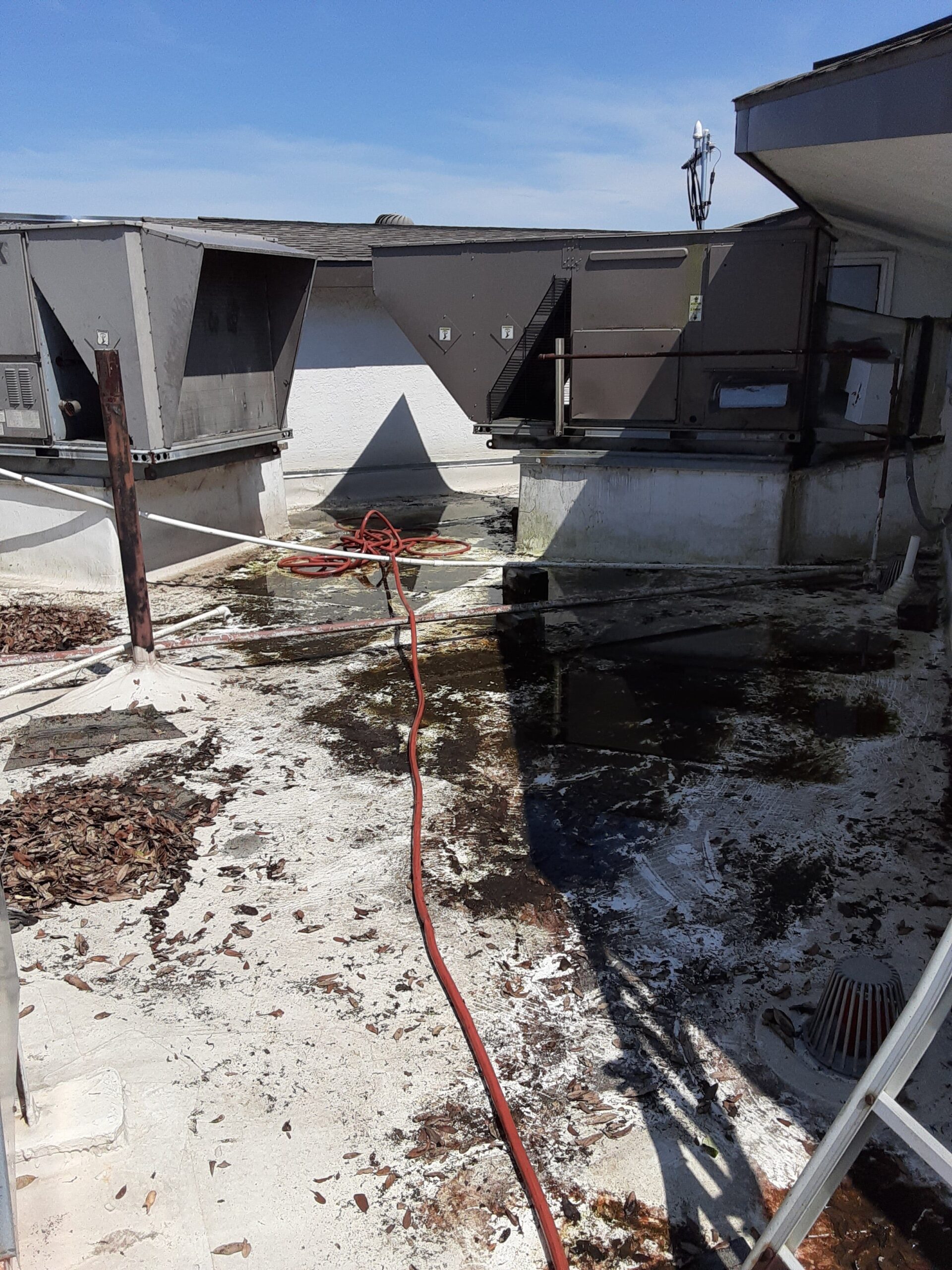 Emergency Rooter plumbing work in New Orleans — 2020-06-10