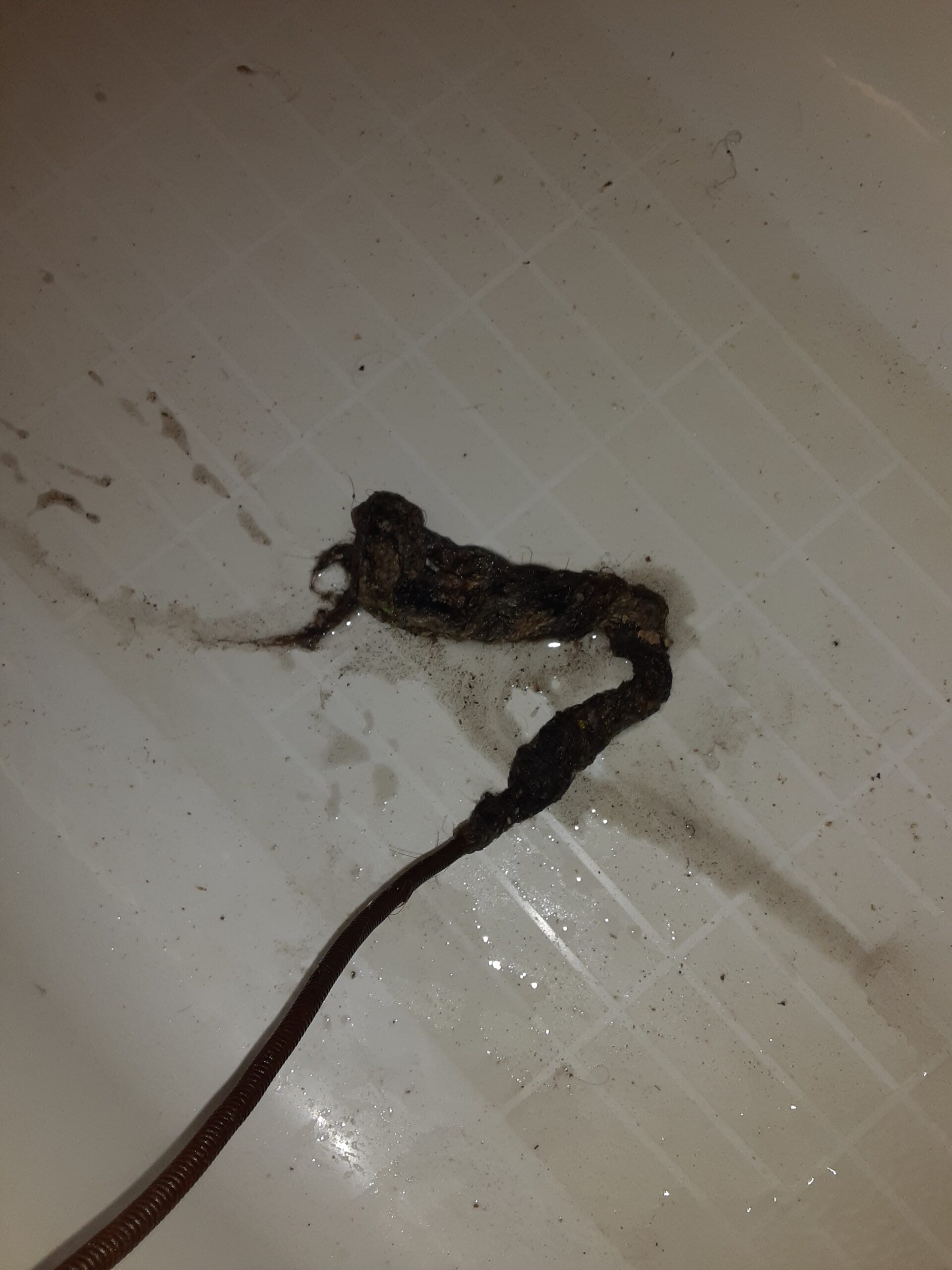 Emergency Rooter plumbing work in New Orleans — 2020-06-16