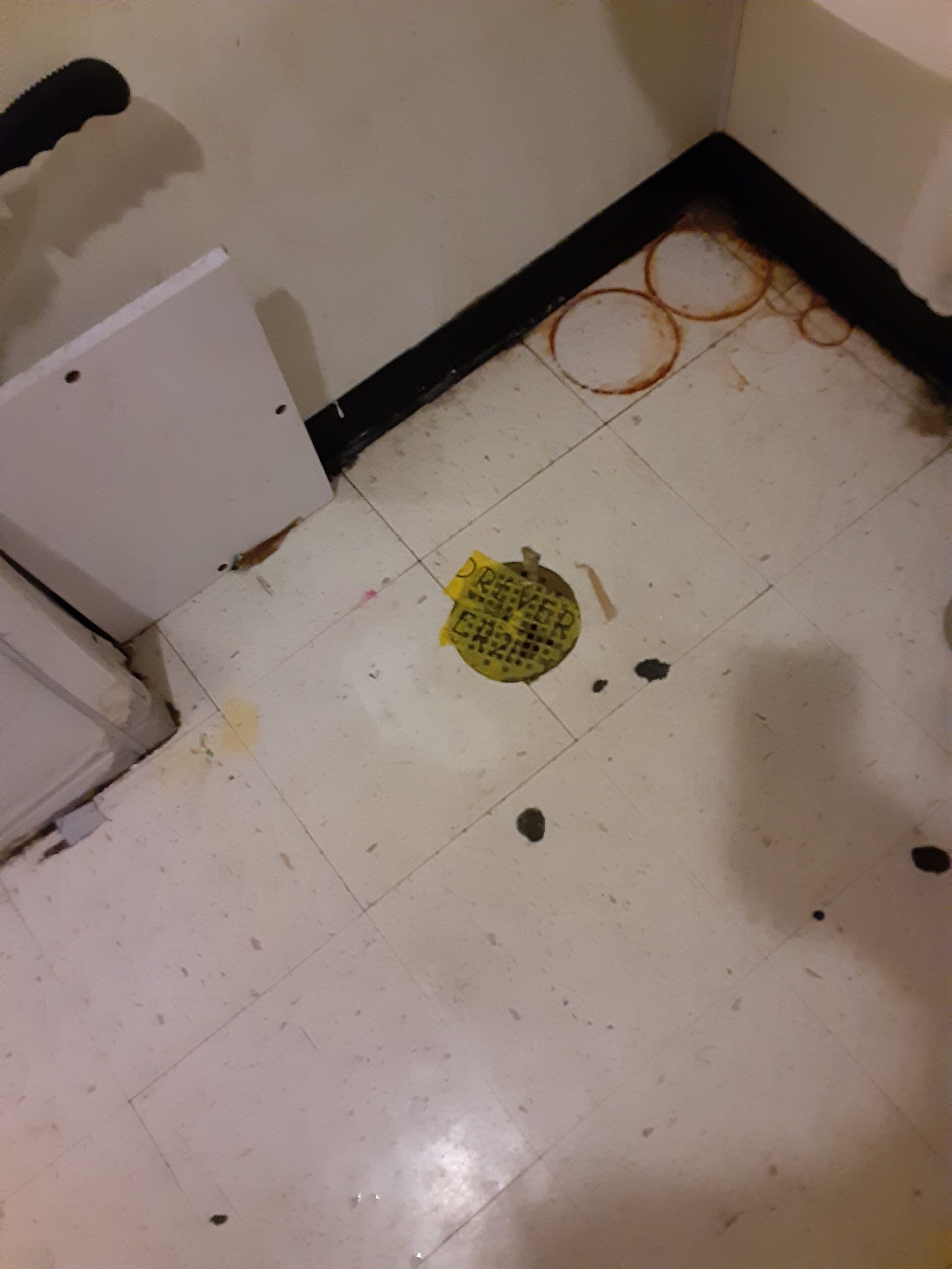 Emergency Rooter plumbing work in New Orleans — 2020-07-11