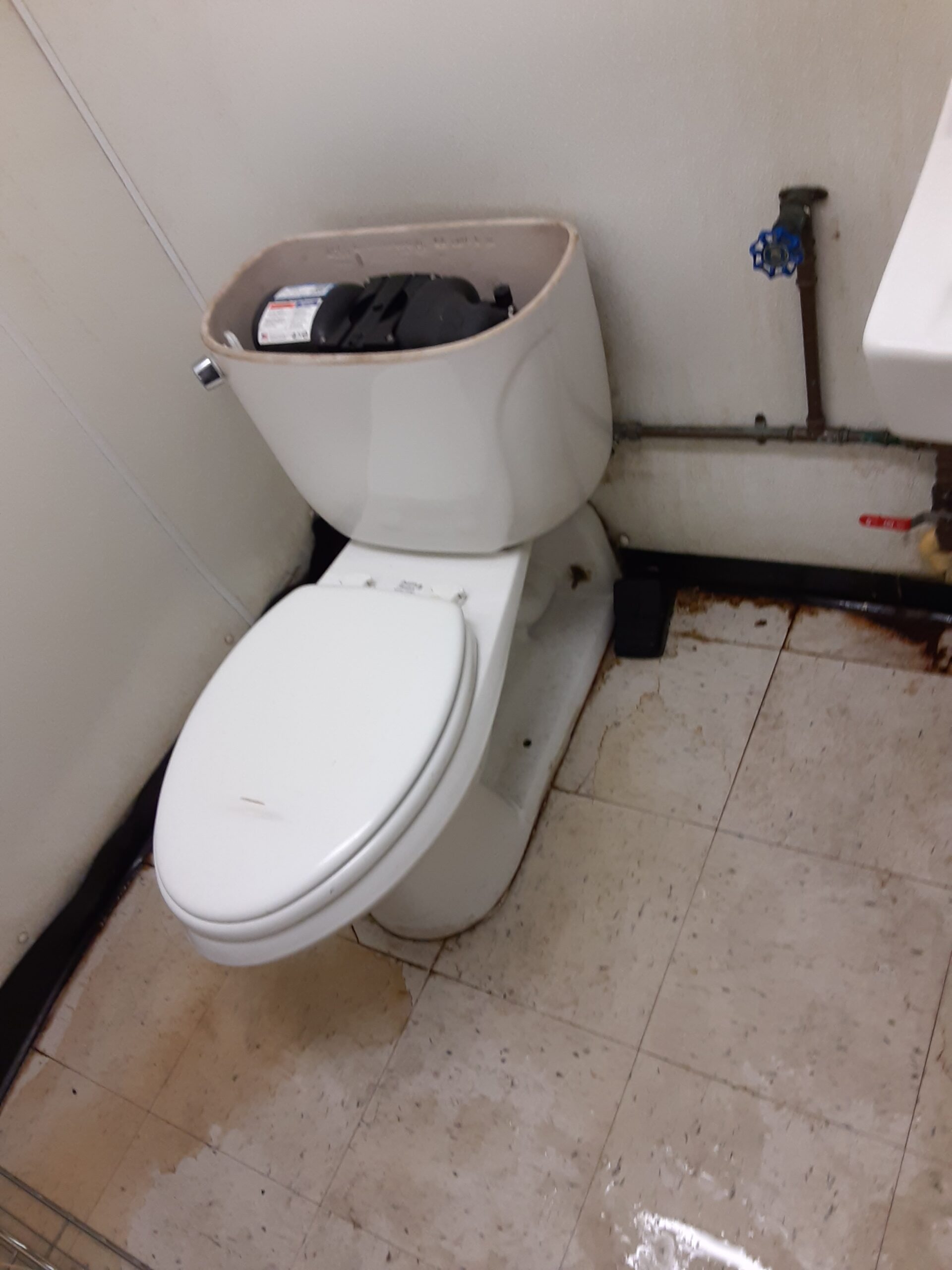 Emergency Rooter plumbing work in New Orleans — 2020-07-13