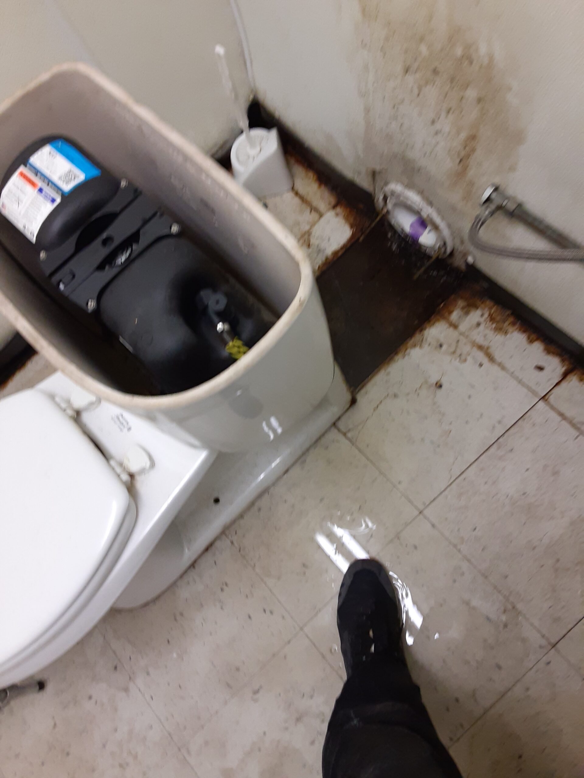 Emergency Rooter plumbing work in New Orleans — 2020-07-13