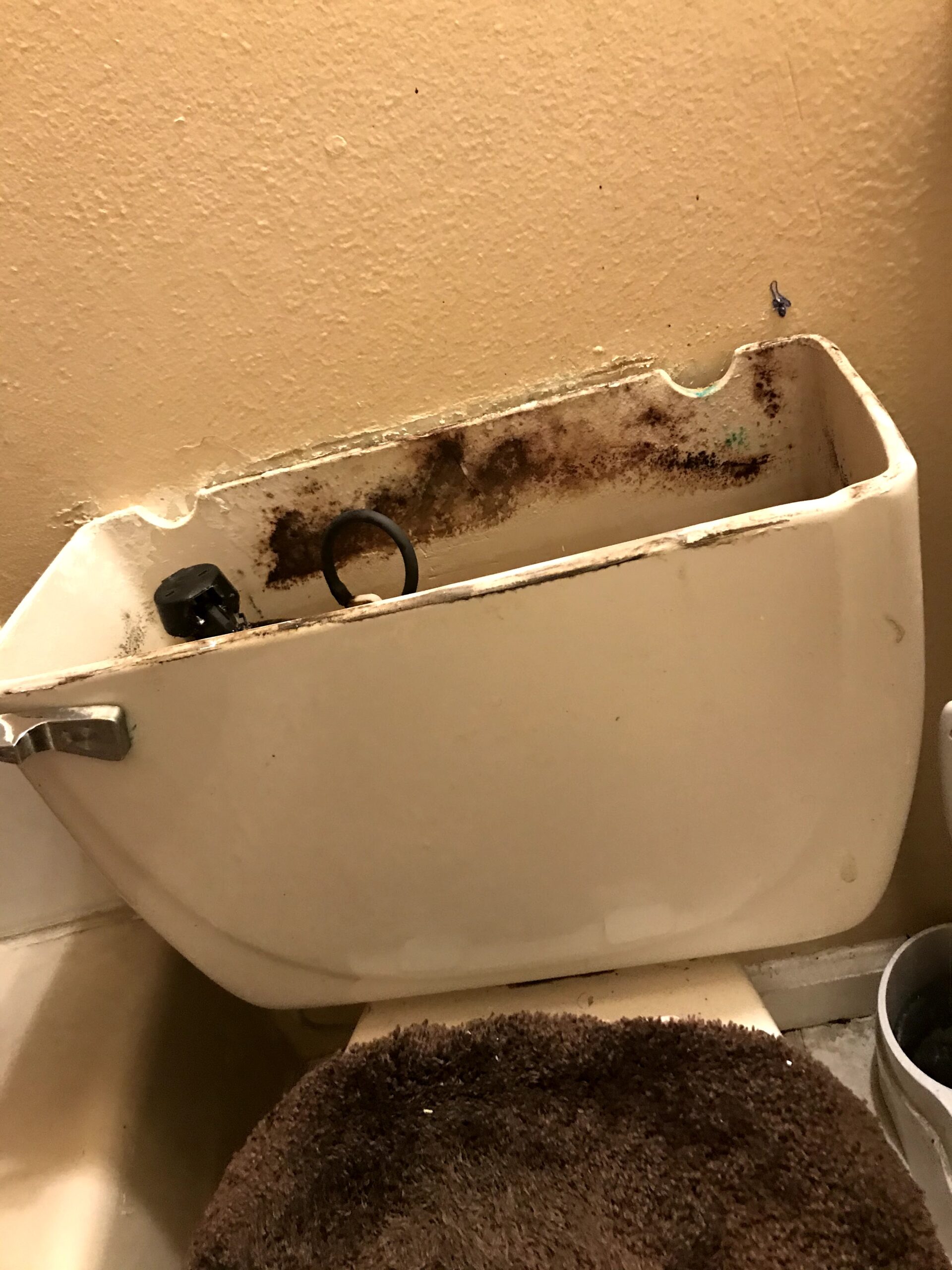 Emergency Rooter job site photo