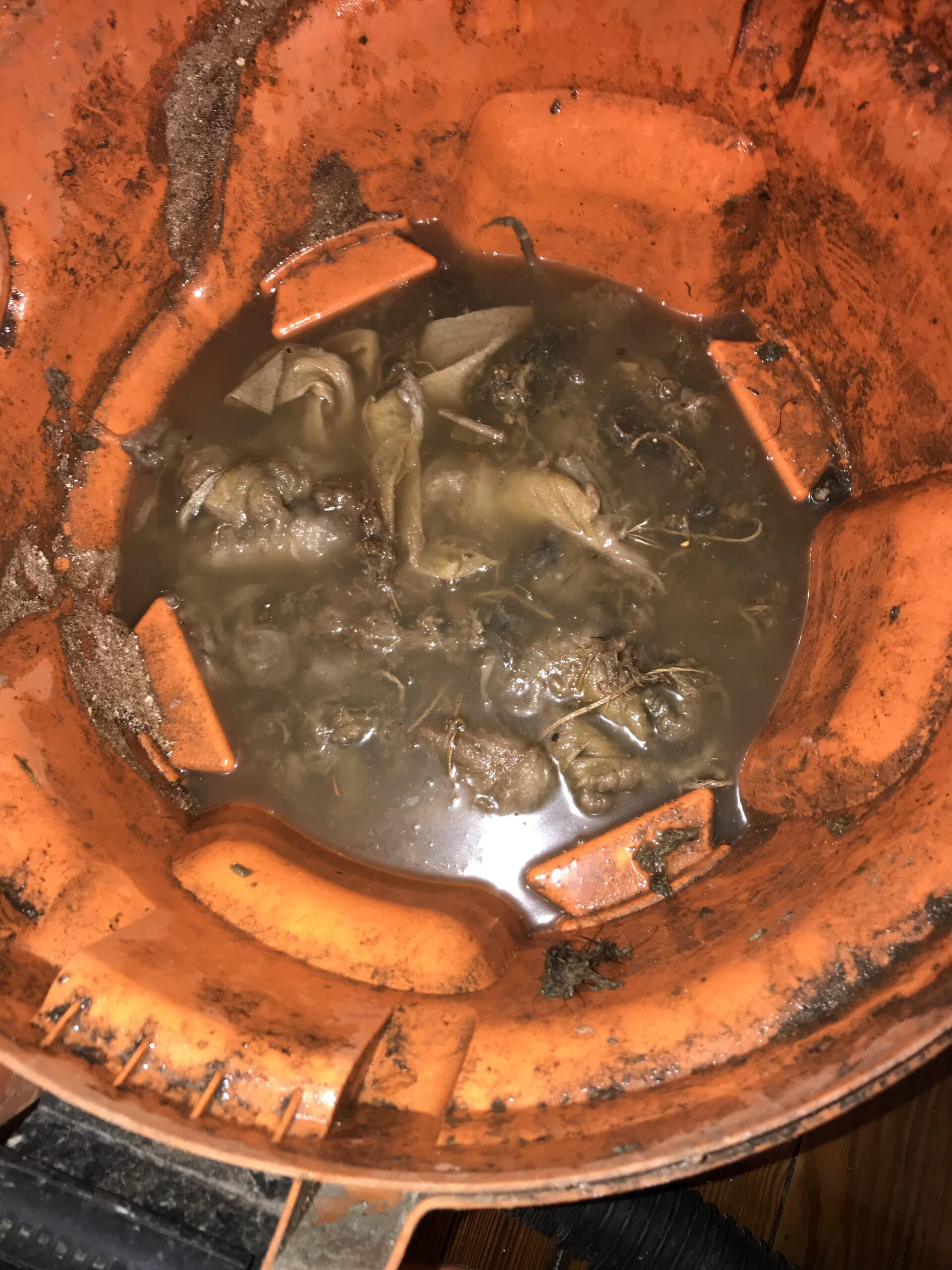 Emergency Rooter plumbing and drain work in New Orleans