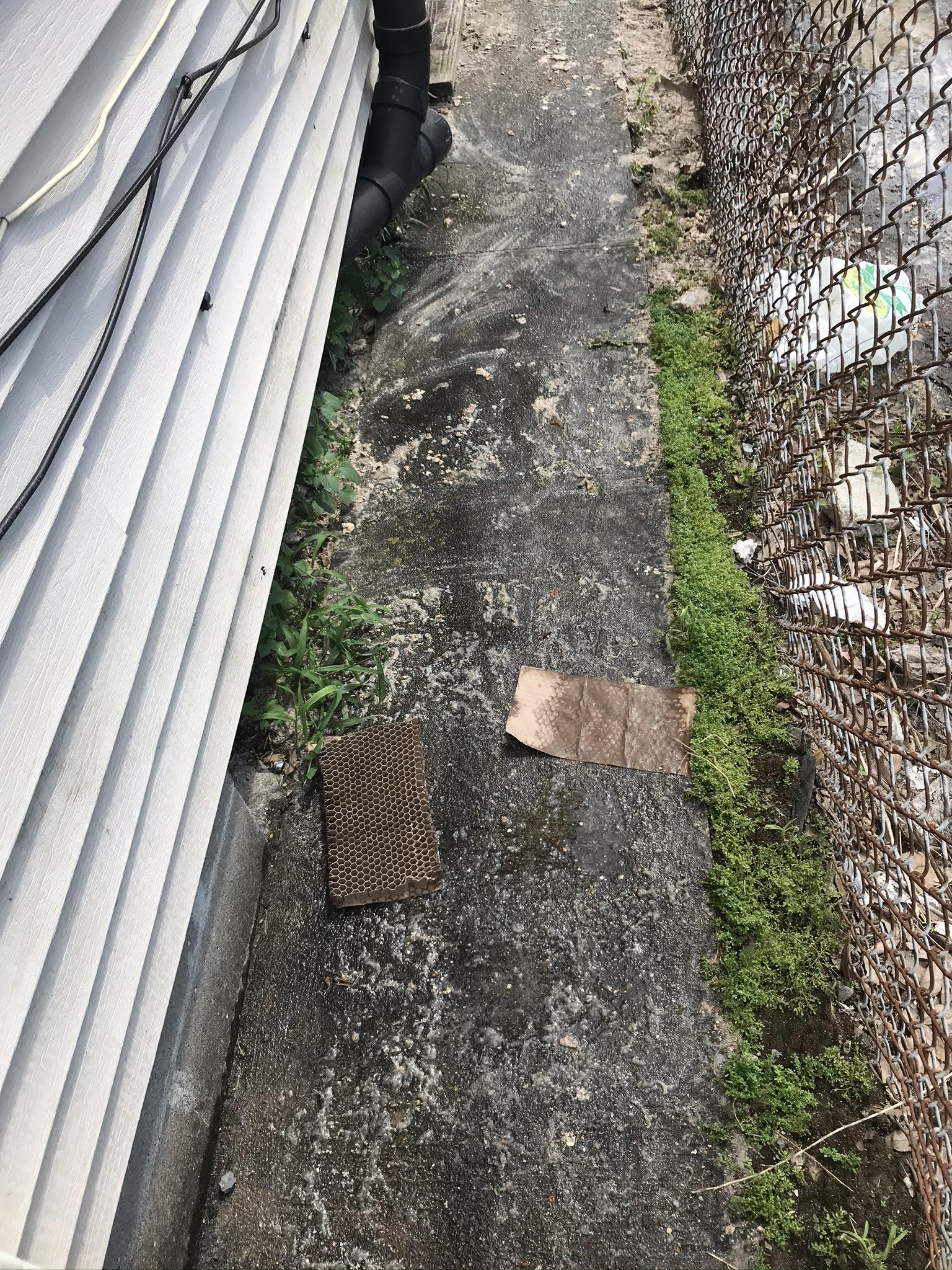 Emergency Rooter on-site plumbing work